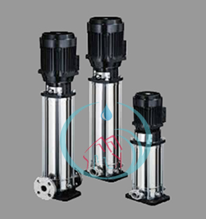 Ebara EVM Multistage Pump