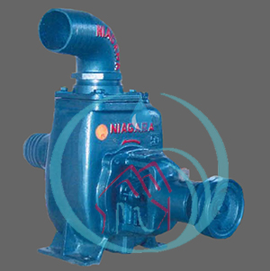 Pompa Centrifugal Niagara GTR-2
