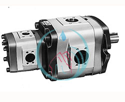 Double Gear Pump IPH